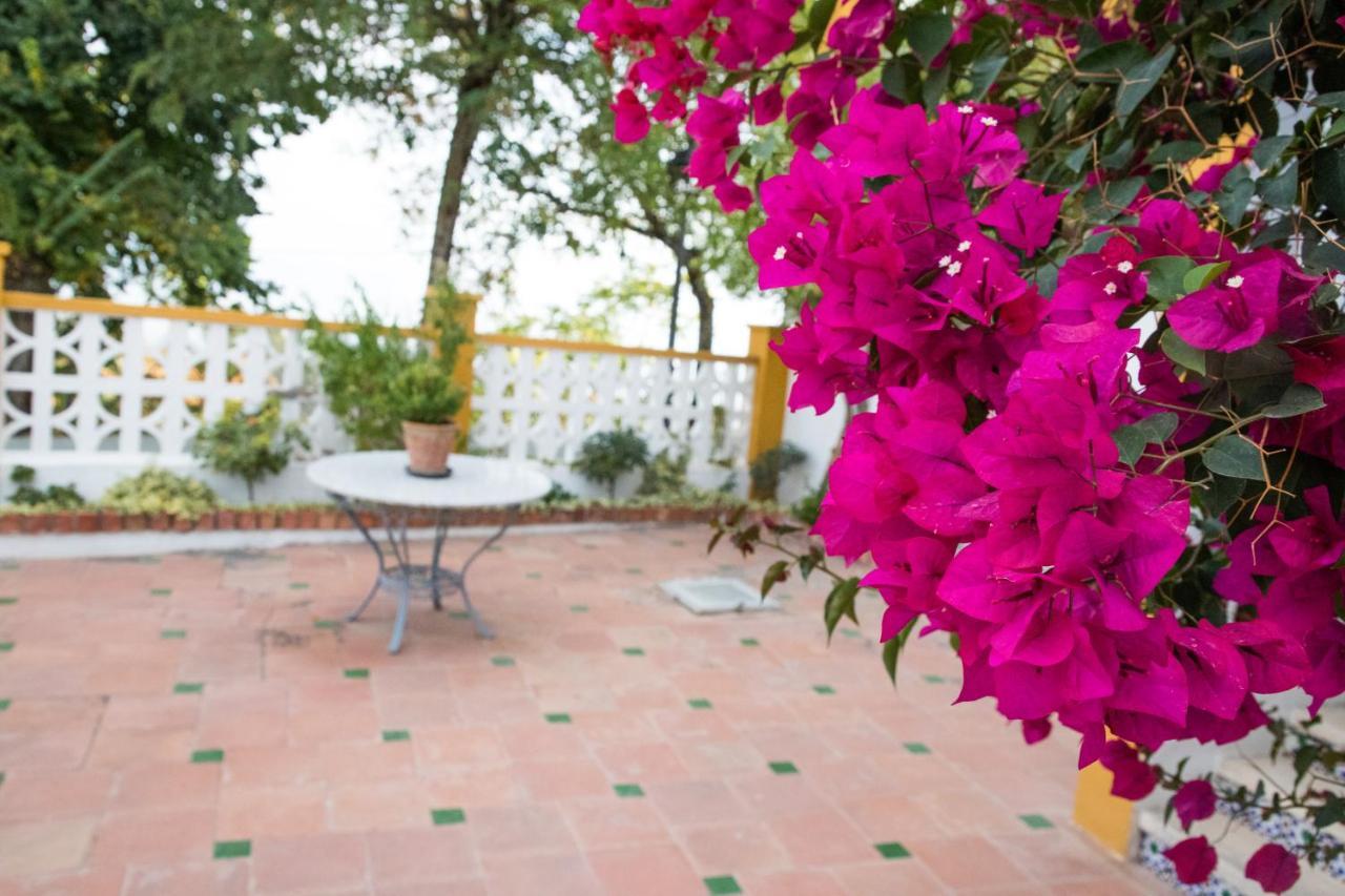 Elmiradordelasmurallas Baeza Ngoại thất bức ảnh
